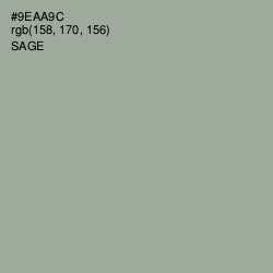 #9EAA9C - Sage Color Image