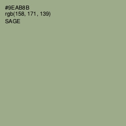 #9EAB8B - Sage Color Image