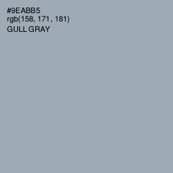 #9EABB5 - Gull Gray Color Image