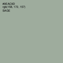 #9EAC9D - Sage Color Image