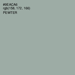 #9EACA6 - Pewter Color Image