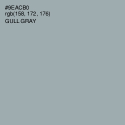 #9EACB0 - Gull Gray Color Image