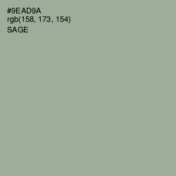 #9EAD9A - Sage Color Image