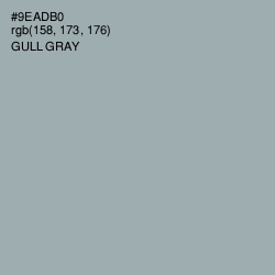 #9EADB0 - Gull Gray Color Image