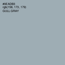 #9EADB3 - Gull Gray Color Image