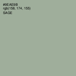 #9EAE9B - Sage Color Image