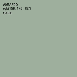 #9EAF9D - Sage Color Image