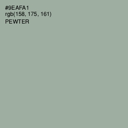 #9EAFA1 - Pewter Color Image