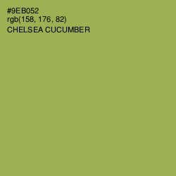 #9EB052 - Chelsea Cucumber Color Image