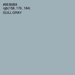 #9EB0B8 - Gull Gray Color Image