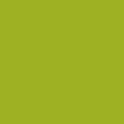 #9EB123 - Sushi Color Image
