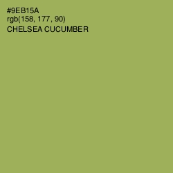 #9EB15A - Chelsea Cucumber Color Image