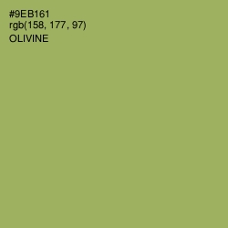 #9EB161 - Olivine Color Image