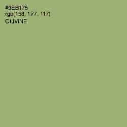 #9EB175 - Olivine Color Image