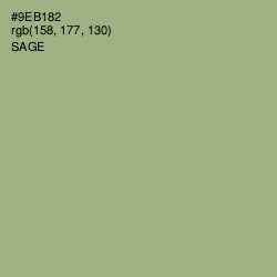 #9EB182 - Sage Color Image