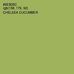 #9EB35C - Chelsea Cucumber Color Image