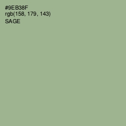 #9EB38F - Sage Color Image