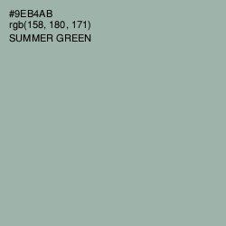 #9EB4AB - Summer Green Color Image