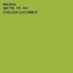 #9EB540 - Chelsea Cucumber Color Image