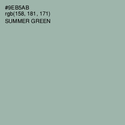 #9EB5AB - Summer Green Color Image