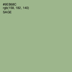 #9EB68C - Sage Color Image