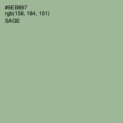 #9EB897 - Sage Color Image