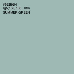 #9EB9B4 - Summer Green Color Image