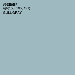 #9EB9BF - Gull Gray Color Image
