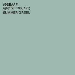 #9EBAAF - Summer Green Color Image