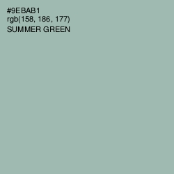 #9EBAB1 - Summer Green Color Image