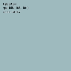 #9EBABF - Gull Gray Color Image