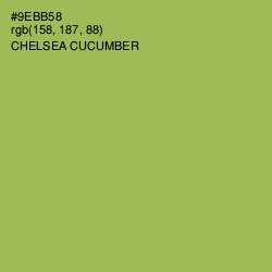 #9EBB58 - Chelsea Cucumber Color Image