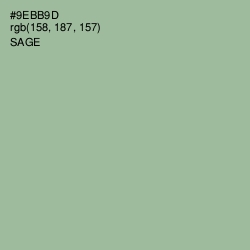 #9EBB9D - Sage Color Image