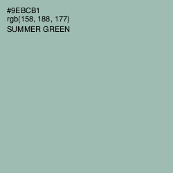 #9EBCB1 - Summer Green Color Image