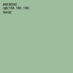 #9EBD9C - Sage Color Image