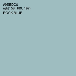 #9EBDC0 - Rock Blue Color Image