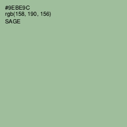 #9EBE9C - Sage Color Image