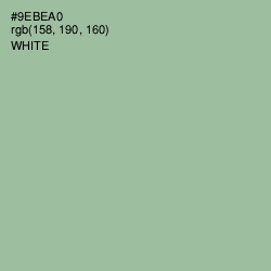 #9EBEA0 - Summer Green Color Image