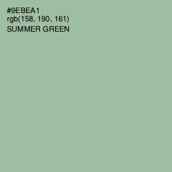 #9EBEA1 - Summer Green Color Image