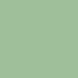 #9EBF99 - Sage Color Image