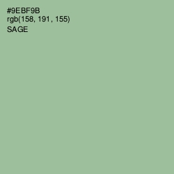 #9EBF9B - Sage Color Image
