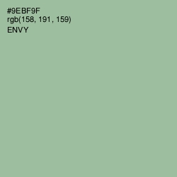 #9EBF9F - Envy Color Image