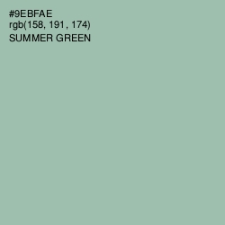 #9EBFAE - Summer Green Color Image