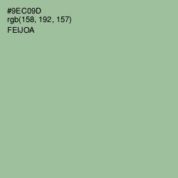 #9EC09D - Feijoa Color Image