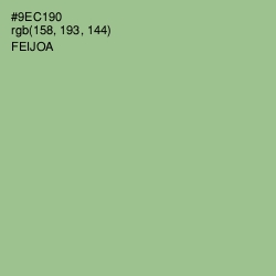 #9EC190 - Feijoa Color Image