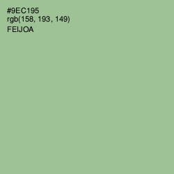 #9EC195 - Feijoa Color Image