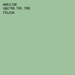 #9EC19E - Feijoa Color Image