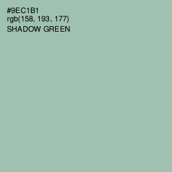 #9EC1B1 - Shadow Green Color Image