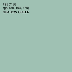 #9EC1B3 - Shadow Green Color Image