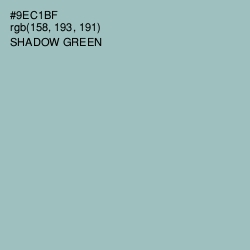#9EC1BF - Shadow Green Color Image